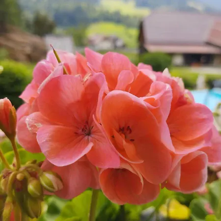 Appartamento Haus Kremser Bad Kleinkirchheim