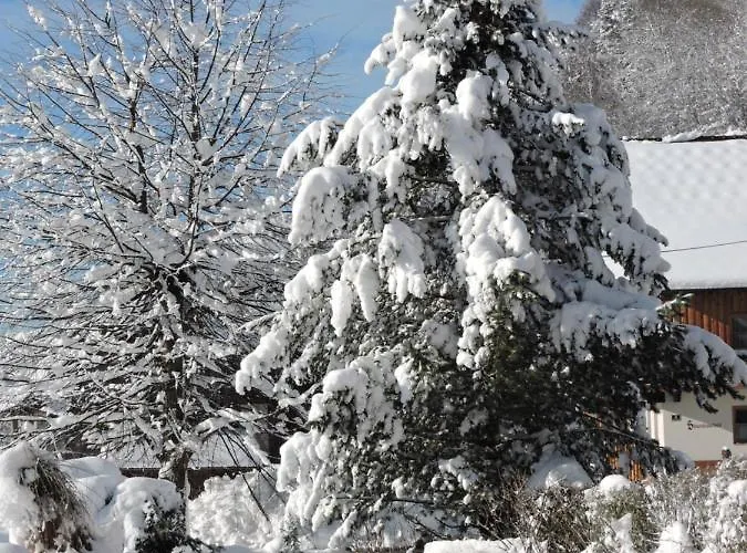 Daire Haus Kremser *